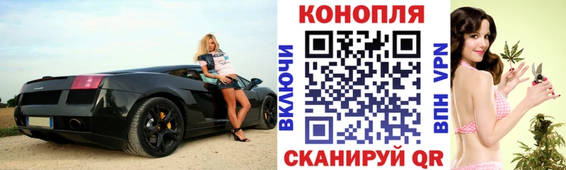 Канабис Amnesia  купить   Москва 